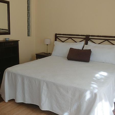 534 Petit San Telmo - Studio & Suites Buenos Aires Ngoại thất bức ảnh