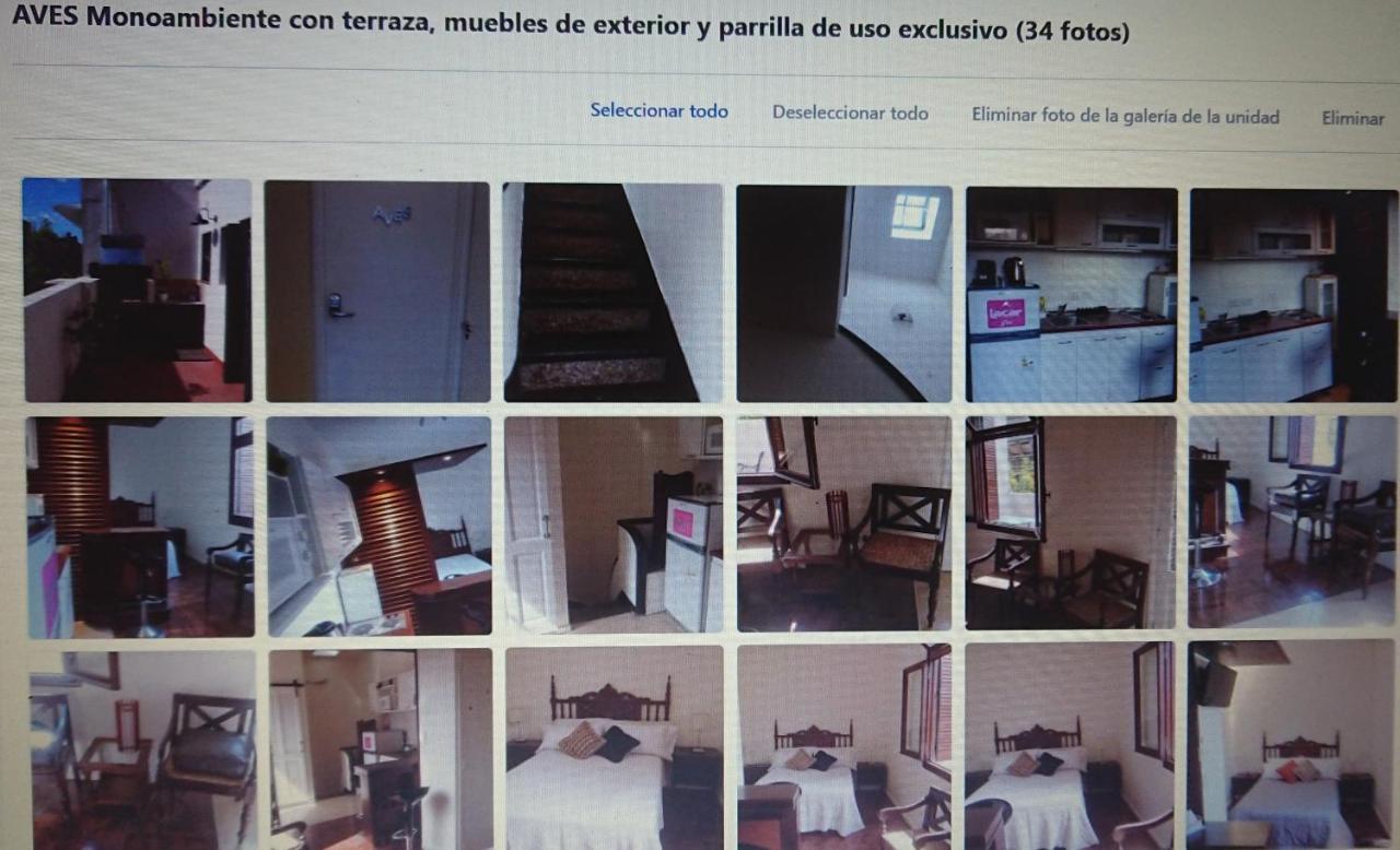 534 Petit San Telmo - Studio & Suites Buenos Aires Ngoại thất bức ảnh
